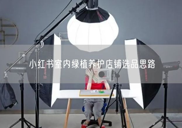 小红书开店必看：室内绿植养护与选品全攻略