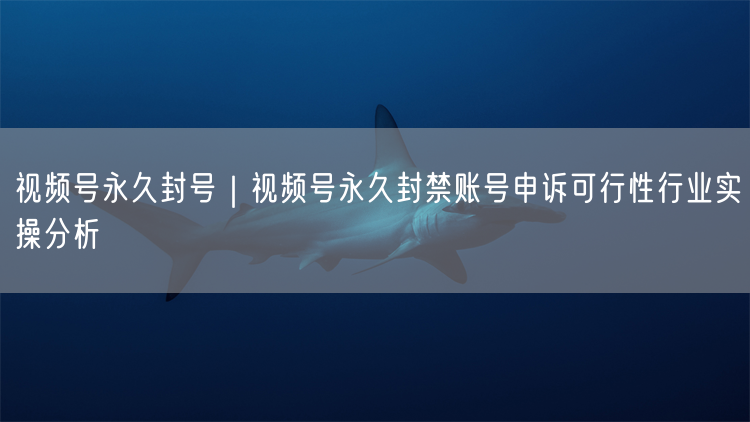 视频号永久封号如何申诉？实操案例+避坑解封指南