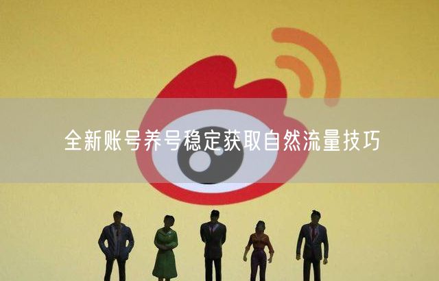 全新账号养号秘籍：稳定获取自然流量实操指南