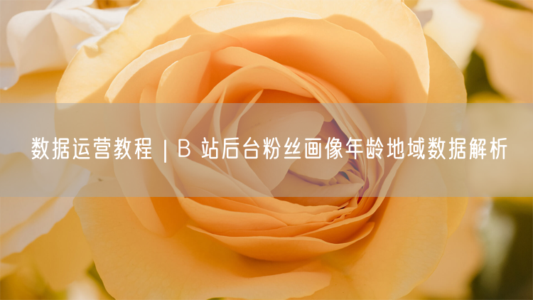 数据运营教程｜B 站后台粉丝画像年龄地域数据解析