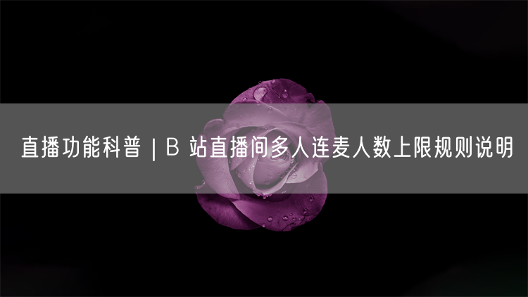 B站直播多人连麦：人数上限与互动规则全解析
