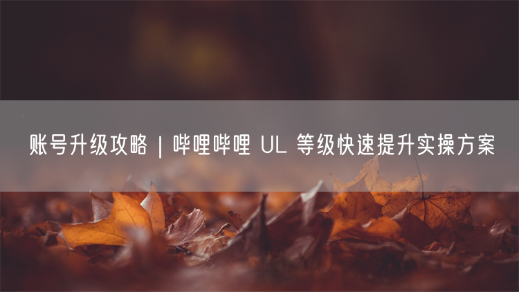 哔哩哔哩UL等级提升攻略：快速升级的实操方案