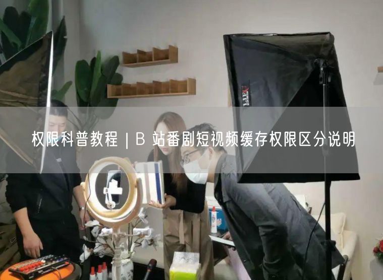 B站番剧短视频缓存权限：各等级缓存设置全解析