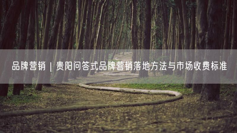 贵阳品牌营销：问答式营销落地方法与收费标准