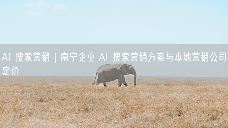 南宁企业AI搜索营销方案及本地公司定价策略解析