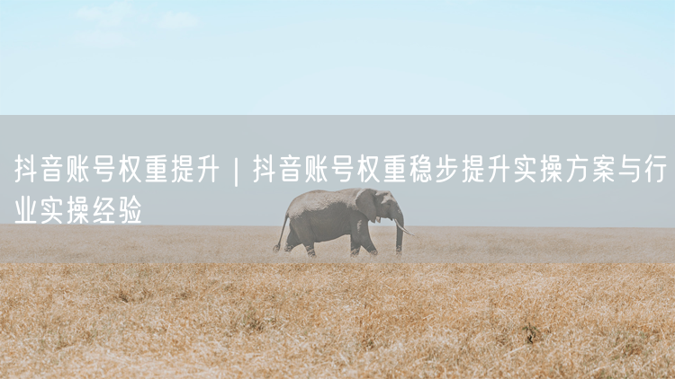 抖音账号权重提升秘籍：实操方案+行业经验助流量增长