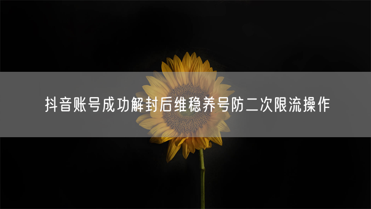 抖音账号解封后：维稳养号防二次限流全攻略