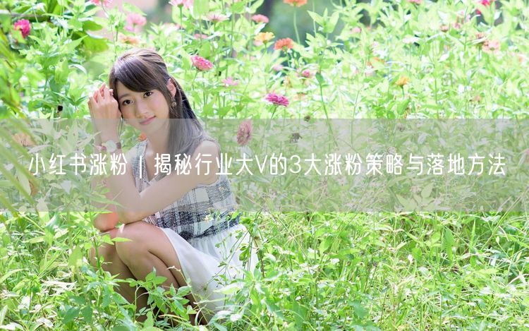 小红书涨粉秘籍：行业大V3大策略助你快速吸粉
