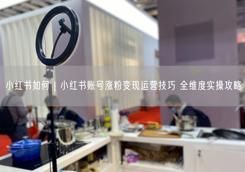 小红书运营全攻略：涨粉技巧+变现方法+账号优化