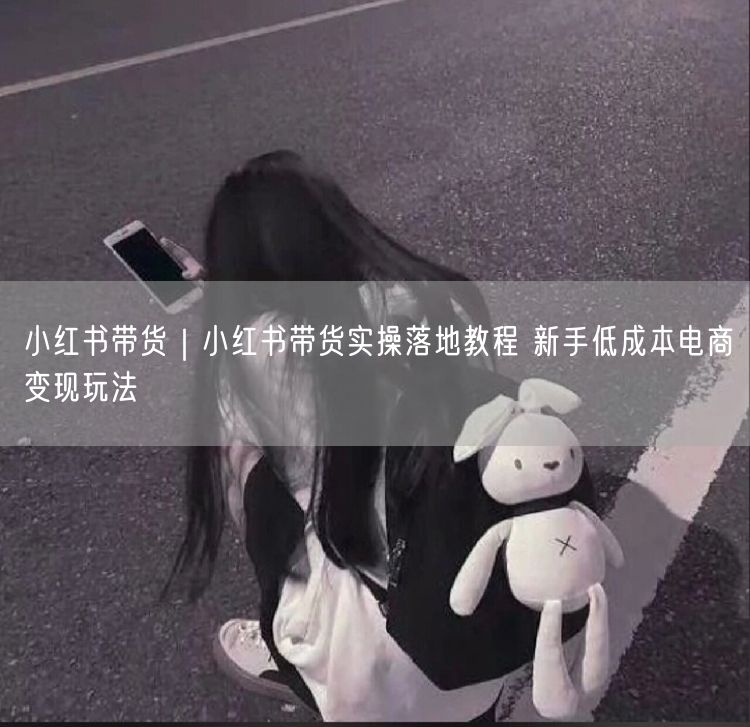 小红书带货教程：新手低成本变现+选品创作全攻略