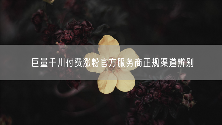 巨量千川付费涨粉：如何辨别官方正规服务商渠道？