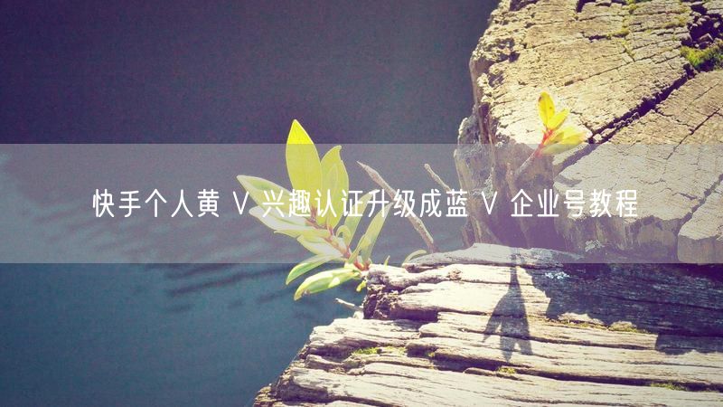 快手个人黄V升级蓝V企业号：认证流程与材料全攻略