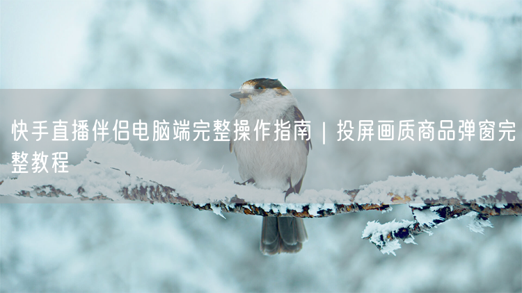 快手直播伴侣电脑端操作全解：投屏画质弹窗设置教程
