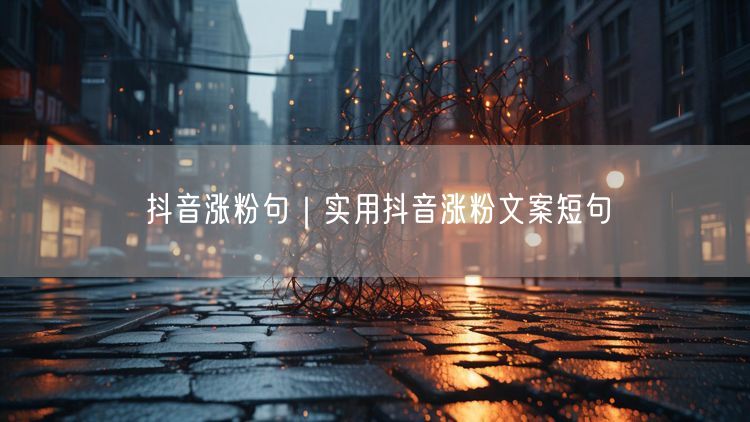 抖音涨粉句｜实用抖音涨粉文案短句
