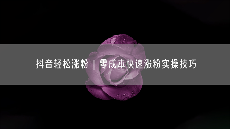 抖音涨粉秘籍：零成本技巧+精准定位实操指南