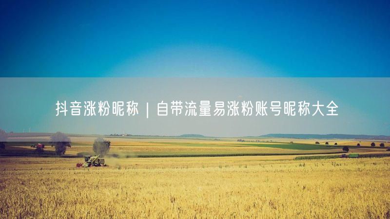 抖音涨粉秘籍：设计自带流量易涨粉的热门昵称