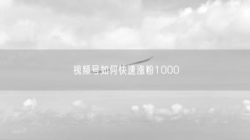 视频号如何快速涨粉1000