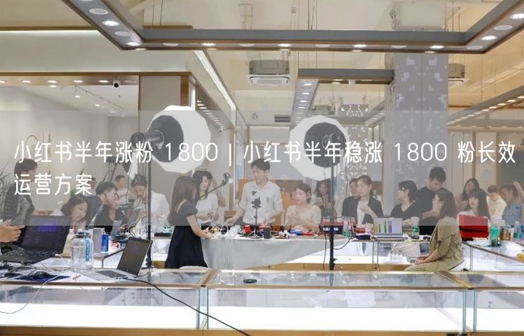 小红书半年涨粉 1800｜小红书半年稳涨 1800 粉长效运营方案