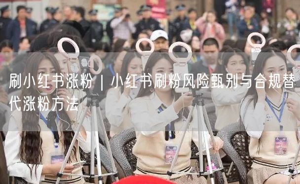 刷小红书涨粉｜小红书刷粉风险甄别与合规替代涨粉方法
