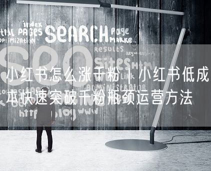 小红书涨粉秘籍：低成本运营，快速突破千粉瓶颈