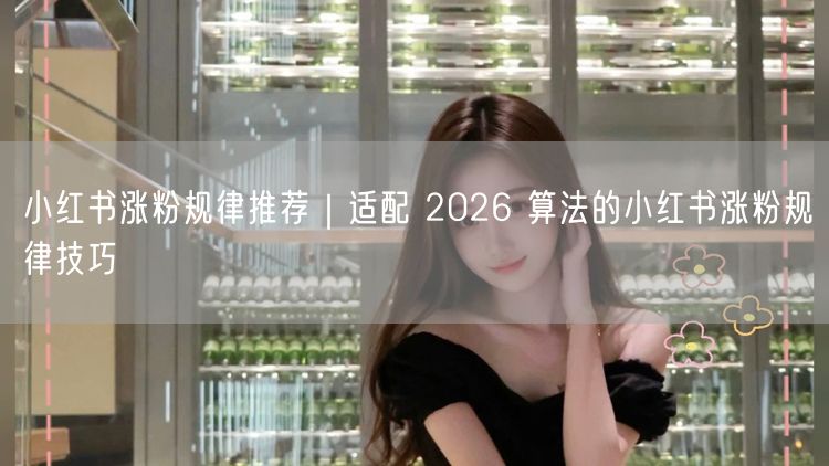 小红书涨粉规律推荐｜适配 2026 算法的小红书涨粉规律技巧