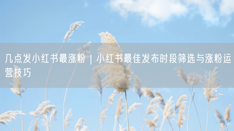 几点发小红书最涨粉｜小红书最佳发布时段筛选与涨粉运营技巧