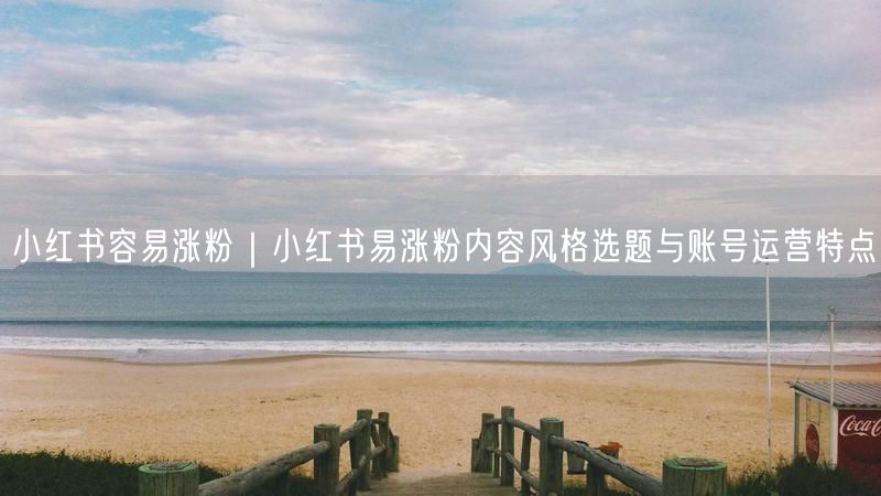 小红书涨粉秘籍：内容风格、选题与账号运营全攻略