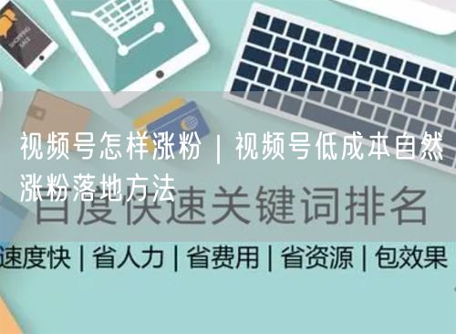 视频号涨粉秘籍：低成本自然涨粉与运营优化技巧