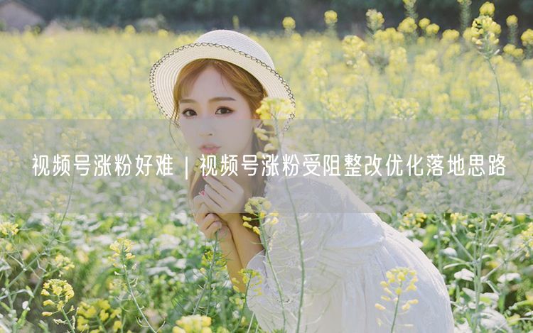 视频号涨粉受阻？优化策略+内容互动助你破局