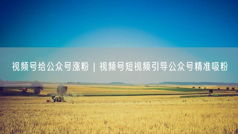 视频号联动公众号：短视频精准引流，高效转化粉丝