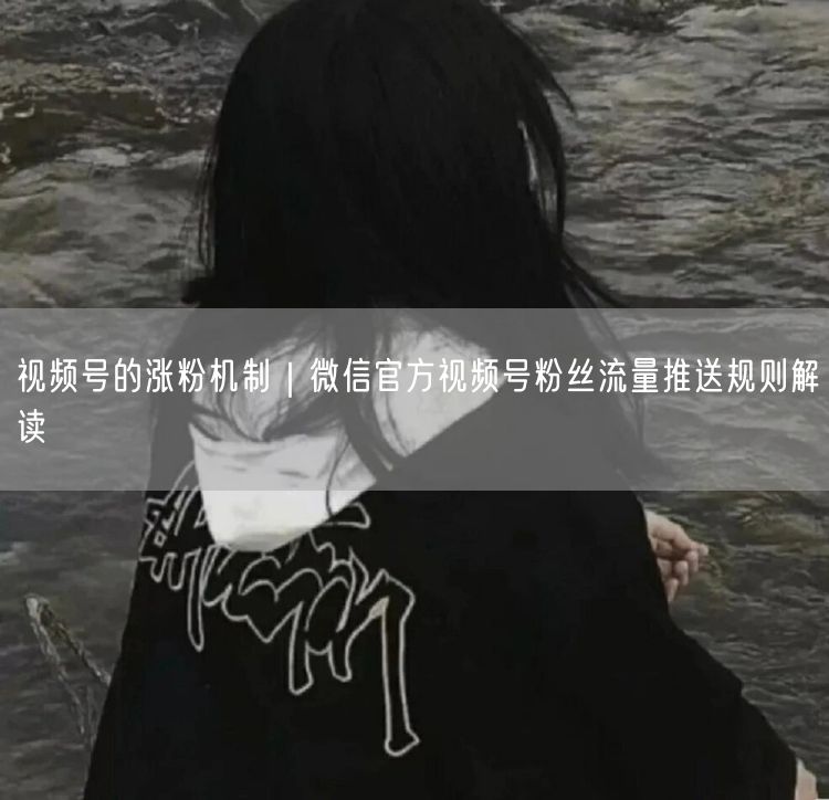 视频号涨粉机制揭秘：社交推荐+算法权重+冷启动策略