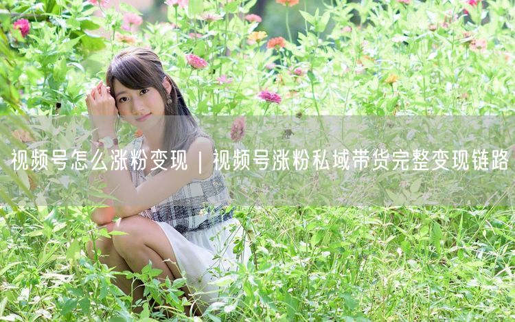 视频号涨粉变现全攻略：私域带货链路解析