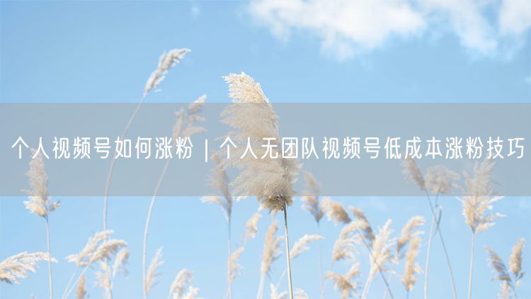 个人视频号涨粉秘籍：低成本技巧+精准定位策略