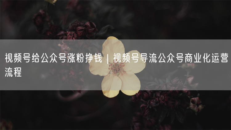 视频号导流+公众号涨粉：内容联动实现流量变现