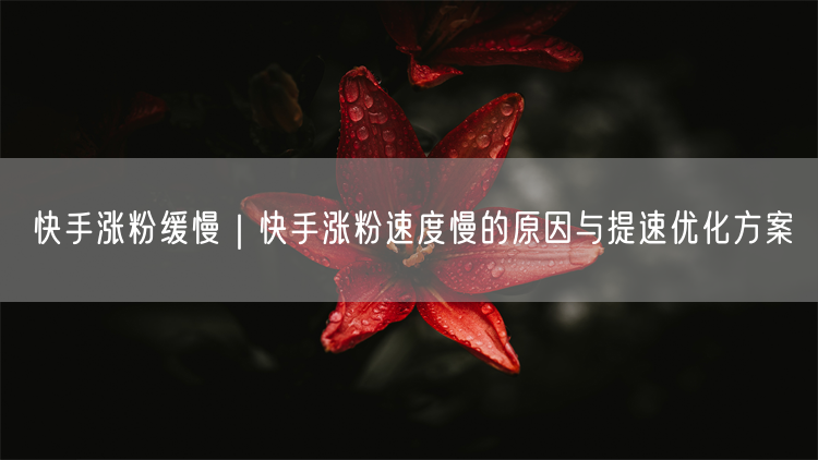 快手涨粉缓慢｜快手涨粉速度慢的原因与提速优化方案