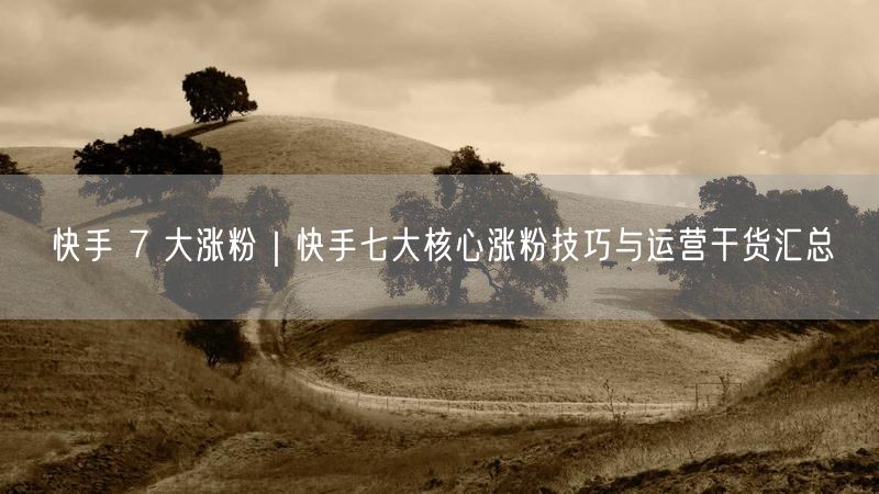 快手 7 大涨粉｜快手七大核心涨粉技巧与运营干货汇总
