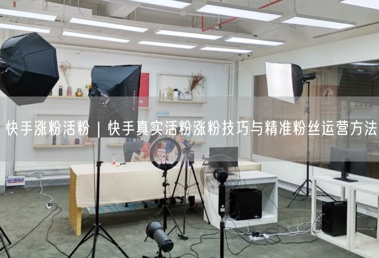 快手涨粉活粉｜快手真实活粉涨粉技巧与精准粉丝运营方法