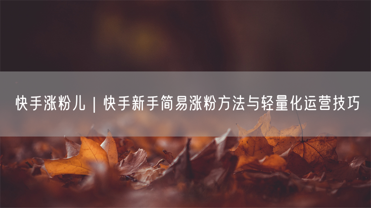 快手涨粉儿｜快手新手简易涨粉方法与轻量化运营技巧