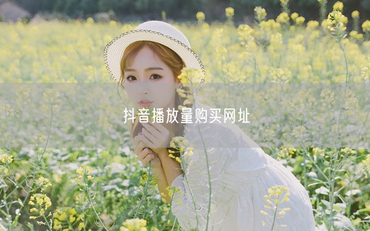 抖音播放量购买网址