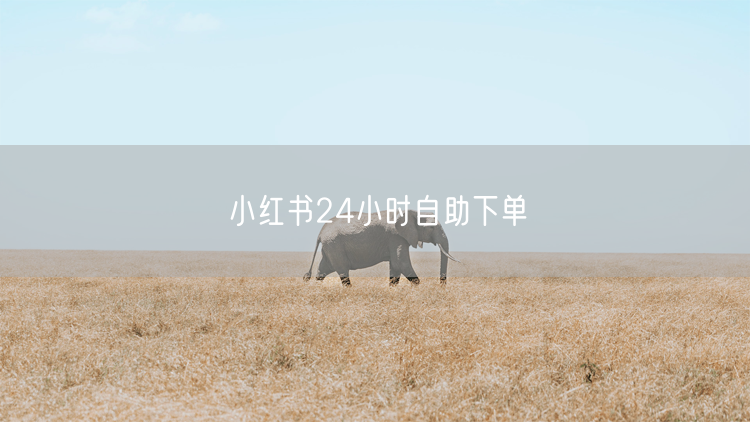 小红书24小时自助下单