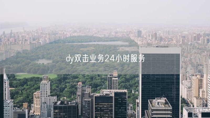 dy双击业务24小时服务
