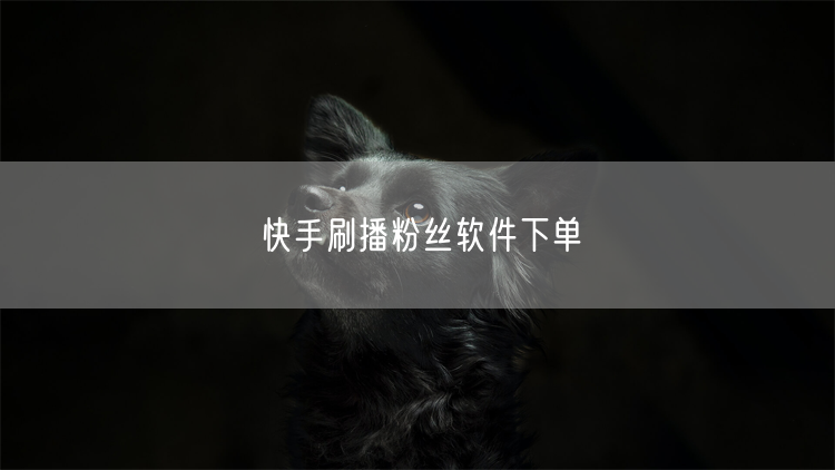 快手刷播粉丝软件下单