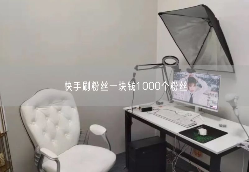 快手刷粉丝一块钱1000个粉丝