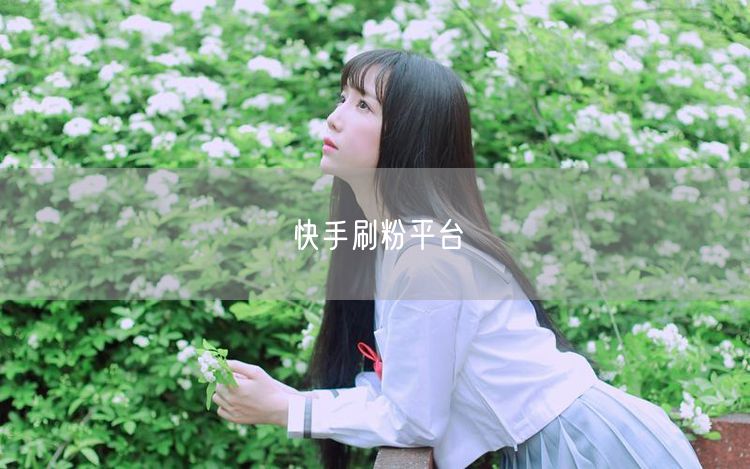 快手刷粉平台