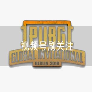 视频号刷关注