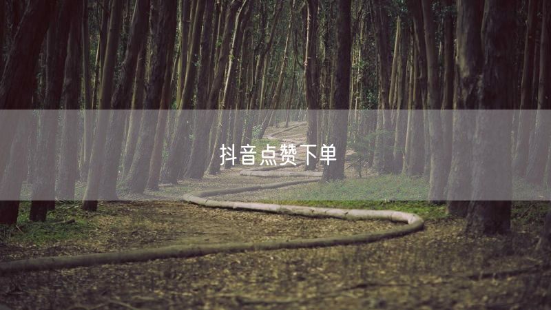 抖音点赞下单