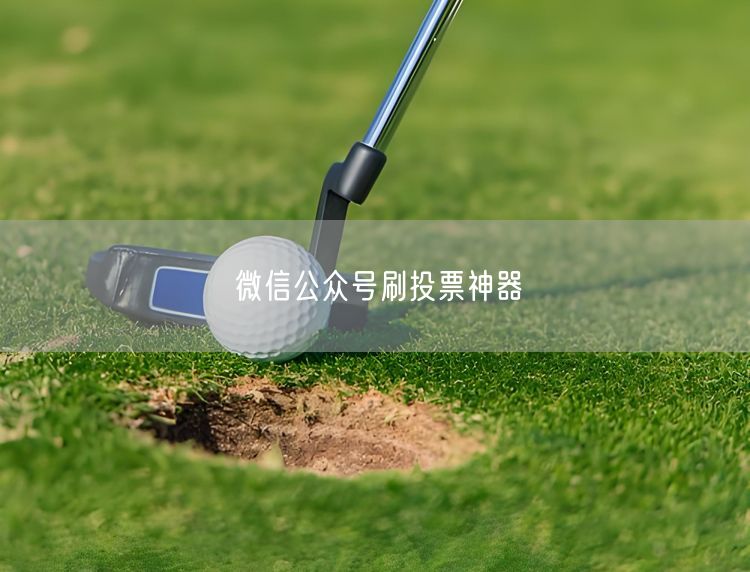 微信公众号刷投票神器