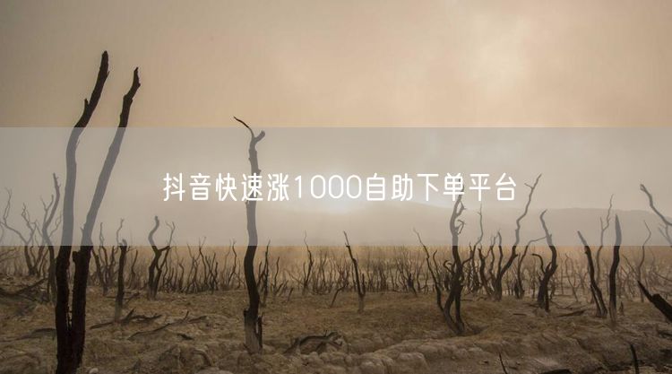 抖音快速涨1000自助下单平台