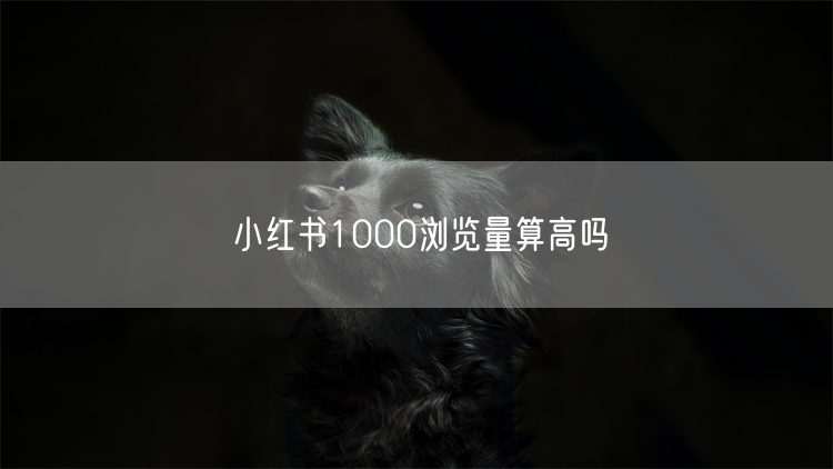 小红书1000浏览量算高吗