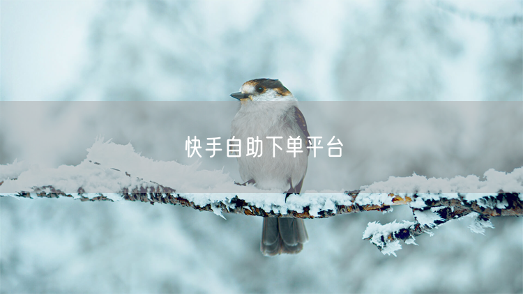 快手自助下单平台